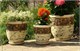 Вазоны, горшки для цветов