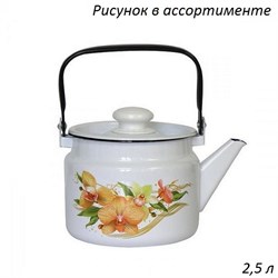 Чайник эмаль 2,5 л Рисунок микс 00013413 - фото 49699