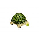 Черепаха лист малая 9х16х10 см - фото 5210