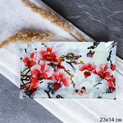 Блюдо прямоугольное 23x14 см S322314 P050 коробка 00015310