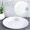 Тарелка 190 мм / LHP75 (2028) /уп 72/ Одуванчик 00018230 - фото 64829